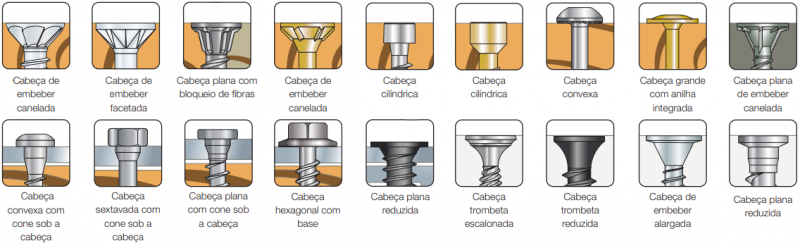 type-tete-vis-pt